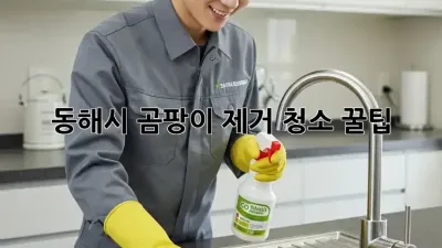 동해시 곰팡이 제거 청소 꿀팁 🏡✨