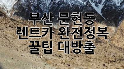 부산 문현동 렌트카 완전정복! 🚗💨꿀팁 대방출