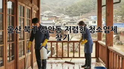 울산 북구 상안동 저렴한 청소업체 찾기