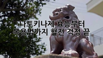 나토키나제 효능부터 복용법까지💊 혈전 걱정 끝!